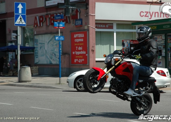 Wheelie Honda MSX 125 2014