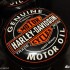 2014 Harley-Davidson Street 500 i Street 750 - Logo Harley Davidson Harley Davidson