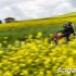 Ducati Hyperstrada w akcji - w polach
