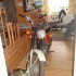 Motocykl w mieszkaniu zdjecia czytelnikow scigacz pl - WSK z kotem