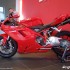 DUCATISTORE Warszawa oficjalnie otwarty - DUCATISTORE wnetrze