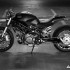 Ducati Monster 1100 Wayne Ransom Edition grubo - statyczne Monster