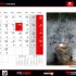 Kalendarz 2010 Scigacz pl zobacz jak wyglada - kalendarz 10 dol 11