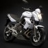 Kawasaki zimowa promocja - Kawasaki ER-6N 2009 white