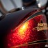Sportster 72 i Softail Slim nowe modele Harley-Davidson - malowanie brokat