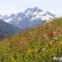 Tydzien w Alpach austriacka przygoda Ani Jackowskiej trwa - kwiaty