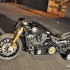 Unorthodox custom od Warr s Harley - Unorthodox lewy profil