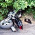 Wypadki motocyklowe zabijaja wiecej zolnierzy niz walki - po wypadku