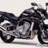 Yamaha FZ1 FZS 1000 Fazer - y02