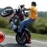 films - Harley-Davidson Sportster 1200 stunt