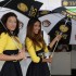 Piekne dziewczyny na GP Malezji - laski GP