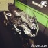 Styczniowe testy WSBK na Jerez fotogaleria - Kawasaki Testy WSBK Jerez