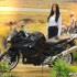 V Ogolnopolska Wystawa Motocykli i Skuterow mega galeria - BMW laska