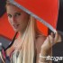 Plec piekna na torze Silverstone galeria zdjec - blondi paddock girls silverstone 2014
