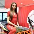Najpiekniejsze dziewczyny na warszawskiej wystawie motocykli i skuterow - Wystawa motocykli i skuterow 2015 Scigacz