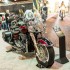 Targi motocyklowe Moto Expo 2017 w obiektywie galeria zdjec - Wystawa motocykli i skuterow Moto Expo 2017 thunderbird
