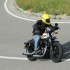 Nowe Sportstery 1200 galeria zdjec - sportster 1200 forty eight special