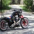 H D Sportster Custom hotrodowy klimat i oldskulowa stylistyka galeria zdjec - 08 Custom Hell Ride Harley Davidson Sportster bok