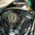Harley Davidson w latynoskim stylu Customowy Softail Springer na zdjeciach - 22 Harley Davidson Softail Springer custom silnik