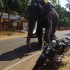 Najciekawsze rzeczy ktore zobaczysz tylko w indiach - patrz w lusterka slonie sa wszedzie w indiach