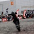 Poznan Motor Show - stunt na poznan motor show 2023
