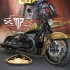 Custom Cup na Warsaw Motorcycle Show 2024 To sa zwycieskie motocykle - Best Painting fot 1