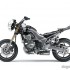Kawasaki Versys 1000 szosowe enduro przez duze SZ - rama profil