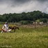 Dwusuw kontra czterosuw w terenie czym lepiej do Rumunii - rumunia dzikie konie