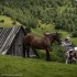 Dwusuw kontra czterosuw w terenie czym lepiej do Rumunii - rumunia konie ktm