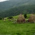 Dwusuw kontra czterosuw w terenie czym lepiej do Rumunii - sibiu rumunia enduro