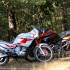 Motocykle dla wysokich obalamy mity - statyka w lesie