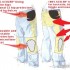 Staw kolanowy latwo popsuc trudno naprawic - Dzisiejsze jeansy motocyklowe rowniez maja wbudowane ochraniacze kolan