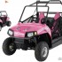 Polaris Limited Edition ATV - Polaris Ranger le-rzr170-pinkpower