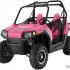 Polaris Limited Edition ATV - Polaris ranger le-rzr-passionpink