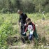 Quadowcy i dzieci z Domu Dziecka sadza las - wspolna praca dzieci i quadowcow