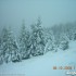 Romania 2008 - drzewa pokryte sniegiem