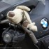 XIII Miedzynarodowy Zlot Motocykli BMW w Zegiestowie relacja - maskotka BMW