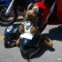 World Ducati Week 2014 pozytywny chaos - Kagur na kasku