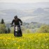 Wiosna z Ducati co tam sie wyprawialo - laka ducati scrambler