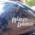 Harley-Davidson Demo Truck Tour w Warszawie - Harley dvidson bak