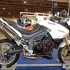MOTOCYKL EXPO 2008 - triumph tiger