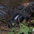 Wypadki motocyklowe w Polsce raport 2012 - Honda wypadek motocyklowy