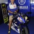 Yamaha YZF-R125 Rossi Replica - Yamaha YZF-R125 Valentino Rossi