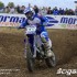 Motocrossowe MS Irlandia 2008 - Osborne