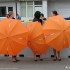 III Runda WMMP w Brnie - parasolki dialog IMG 4041