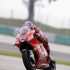MotoGP na torze Sepang do 2015 roku - Hayden Sepang
