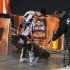 Mistrzostwa Swiata w Motocrossie GP Lombardii 2010 - masquin gp lombardia wygrana buty