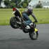 FRS Zamosc Frantic Riders Squad - kamil stoppie