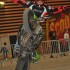 Kamasutra on wheelie czyli wybuchowa mieszanka stylow we Francji - Eurexpo Stunter13 pokazy stunt Francja