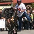 Wheelieholix na Ciechanowskim Otwartym Spotkaniu Motocyklowym - cyrkle